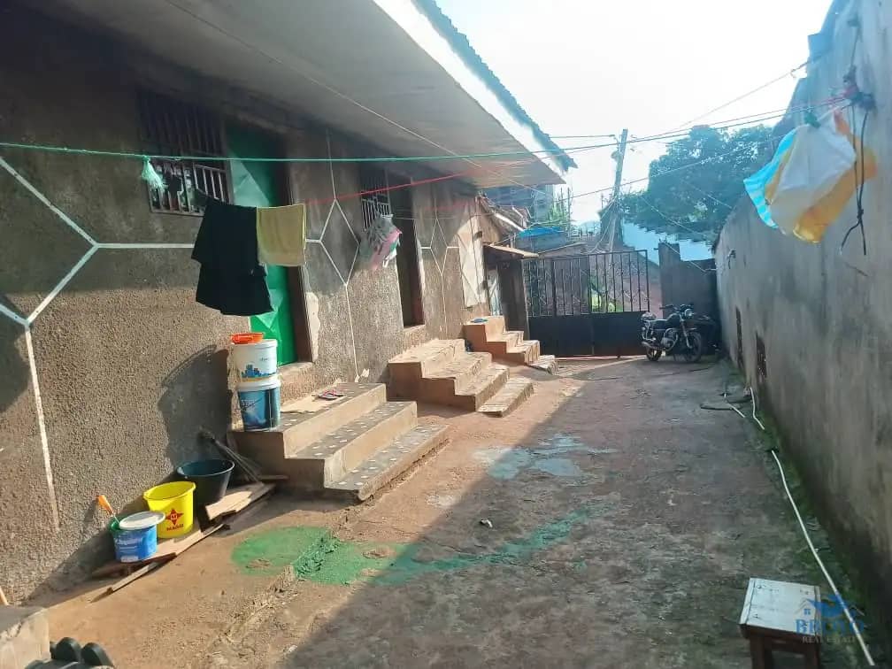 Simple studio for rent  — photo 2