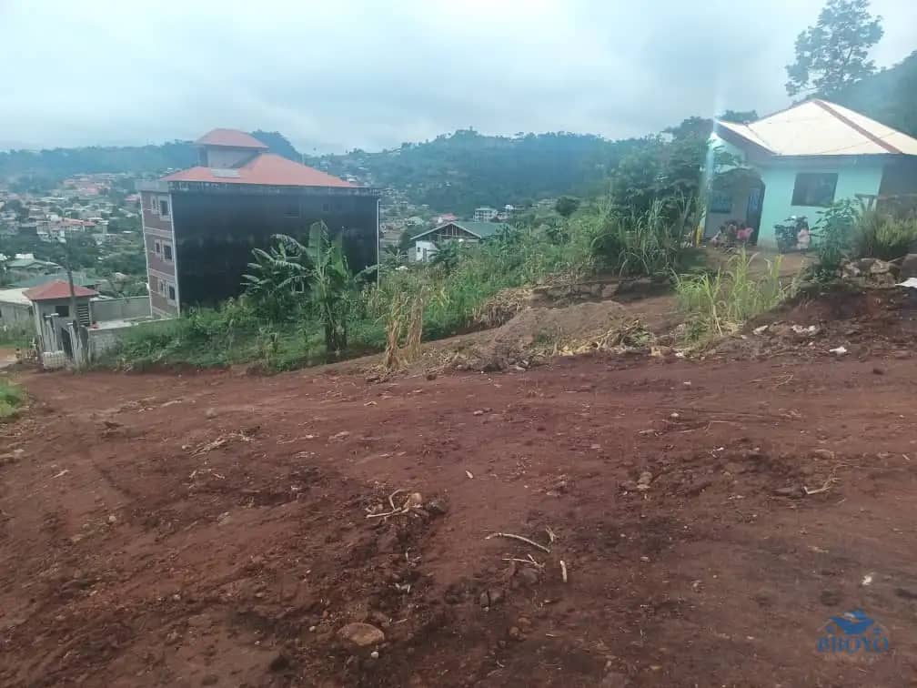 Plot area available  — photo 7