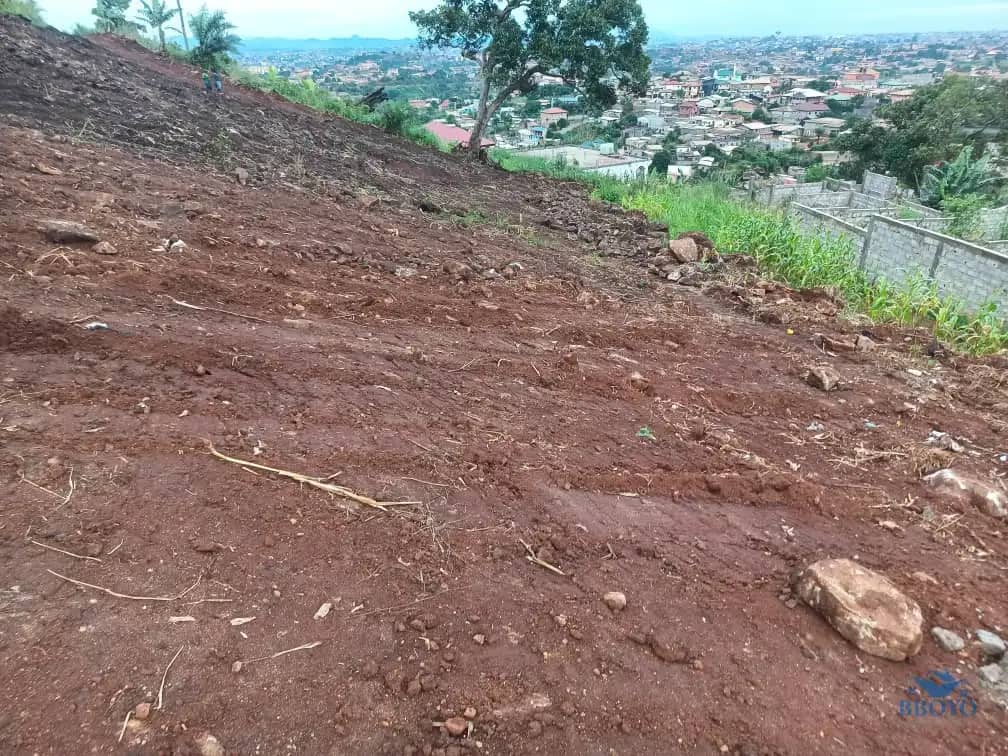 Plot area available  — photo 4