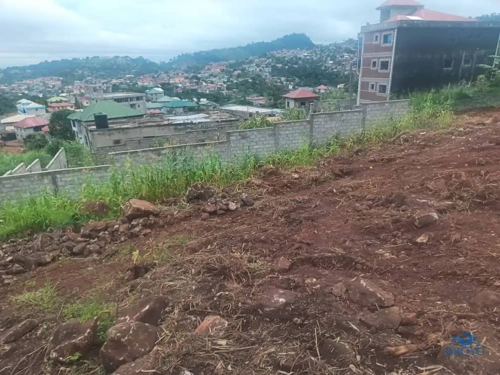Plot area available  — photo 3