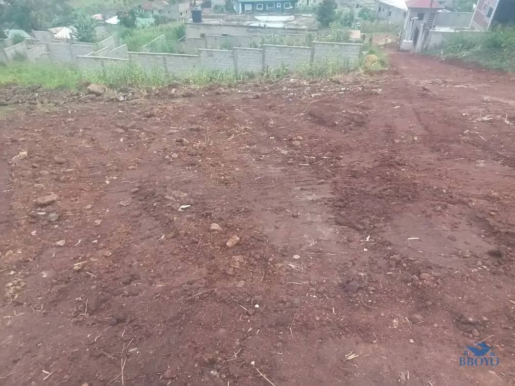 Plot area available  — photo 6