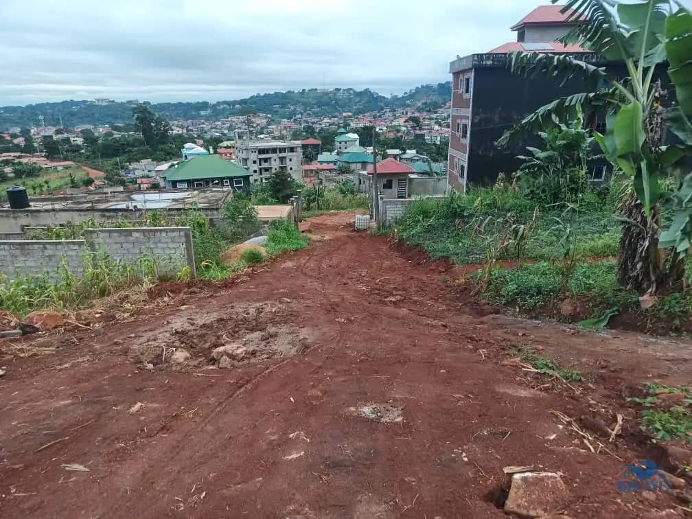 Plot area available 