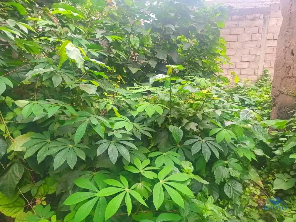 400m2 plot size standing — photo 6