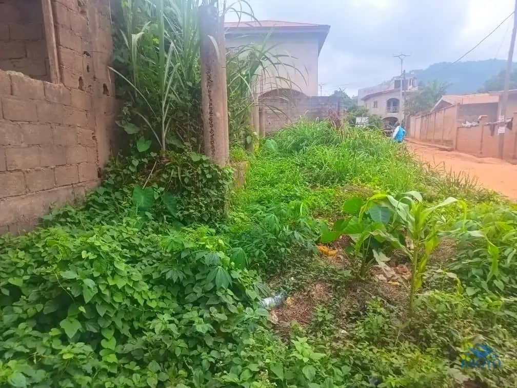 400m2 plot size standing — photo 4
