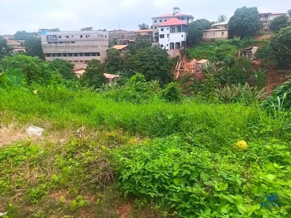 600m2 plot area available 