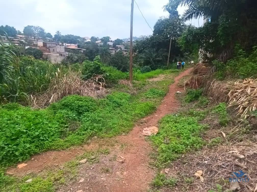 600m2 plot area available  — photo 3