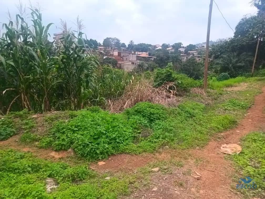 600m2 plot area available  — photo 6