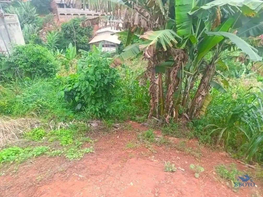 600m2 plot area available  — photo 4