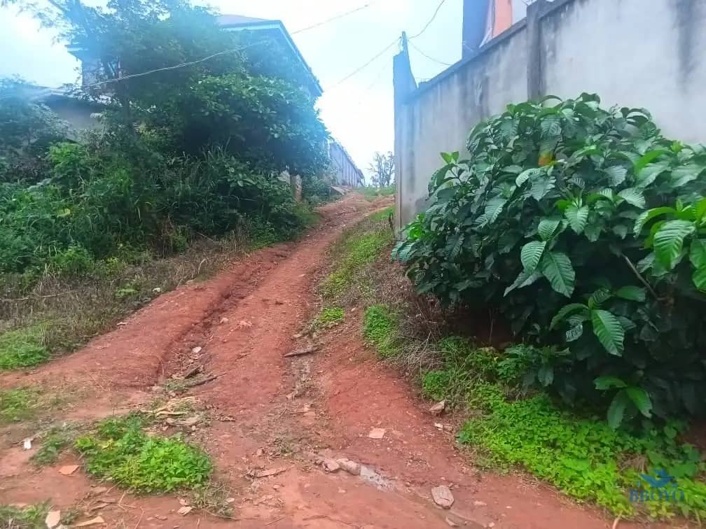 600m2 plot area available  — photo 7