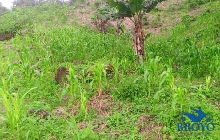 Land for Sale in Limbe, Cameroon