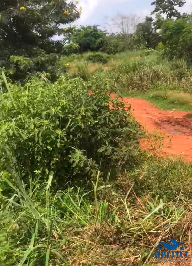 Prime Residential Land for Sale — photo 3