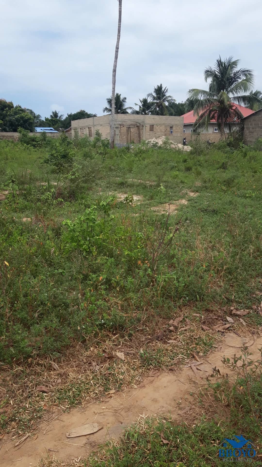Land — photo 4