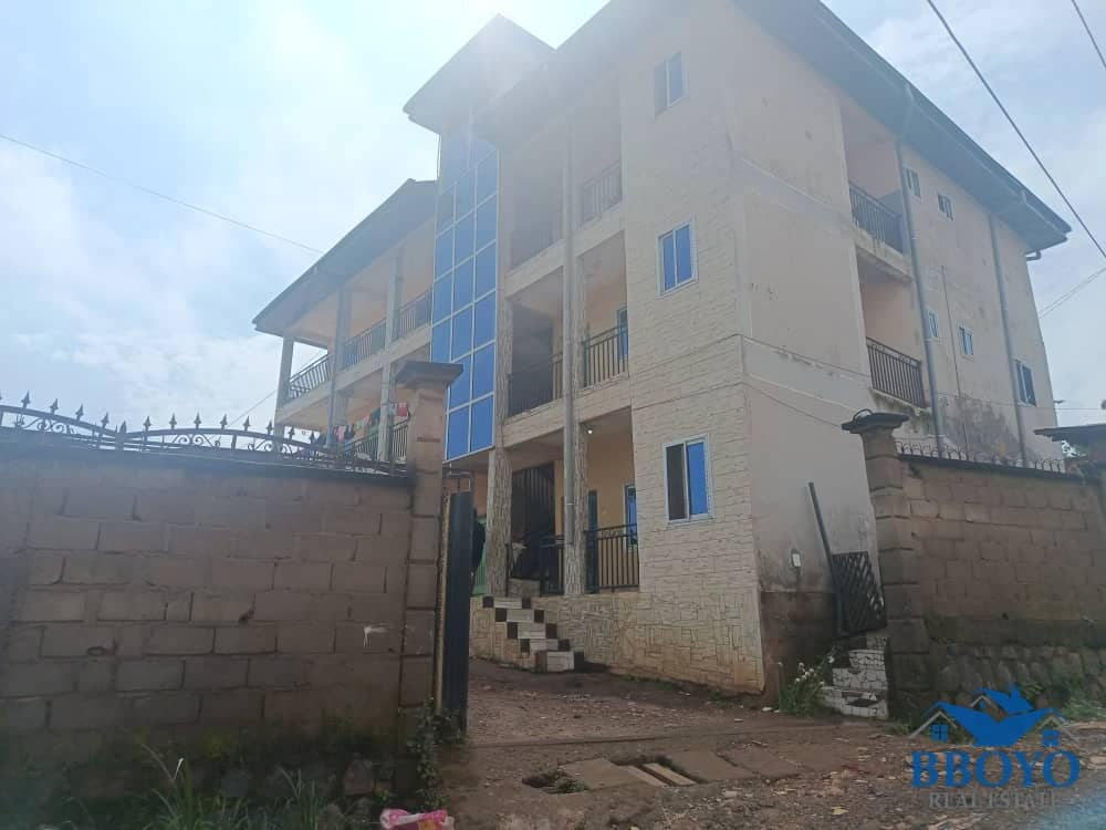 Mr Elvis's compound