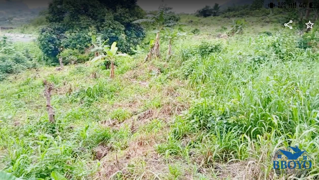Land for Sale in Limbe, Cameroon — photo 4