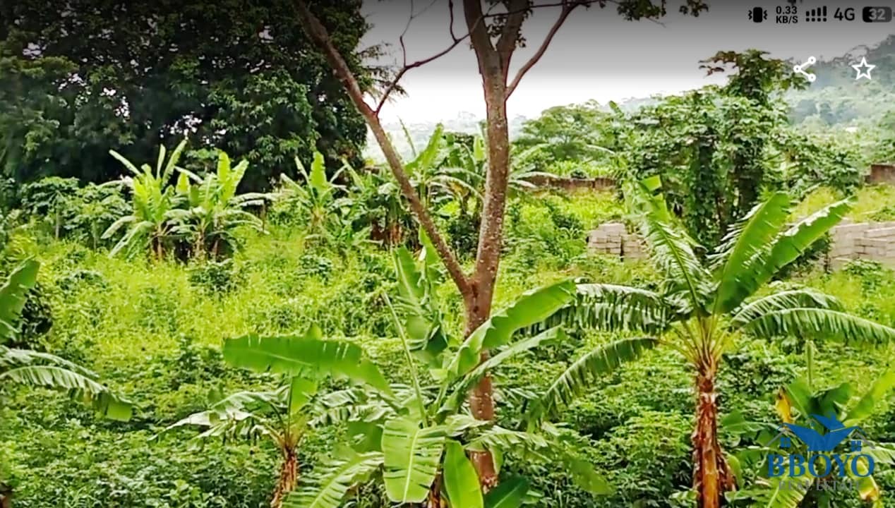 Land for Sale in Limbe, Cameroon — photo 6
