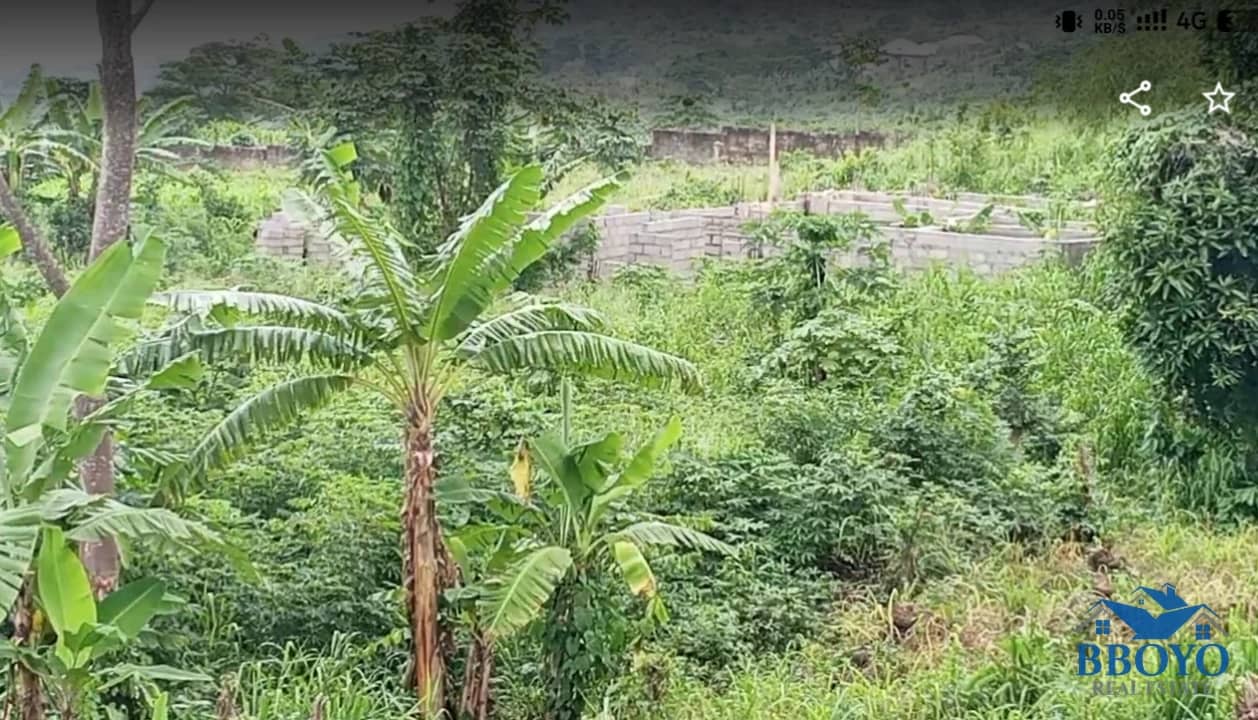 Land for Sale in Limbe, Cameroon — photo 7