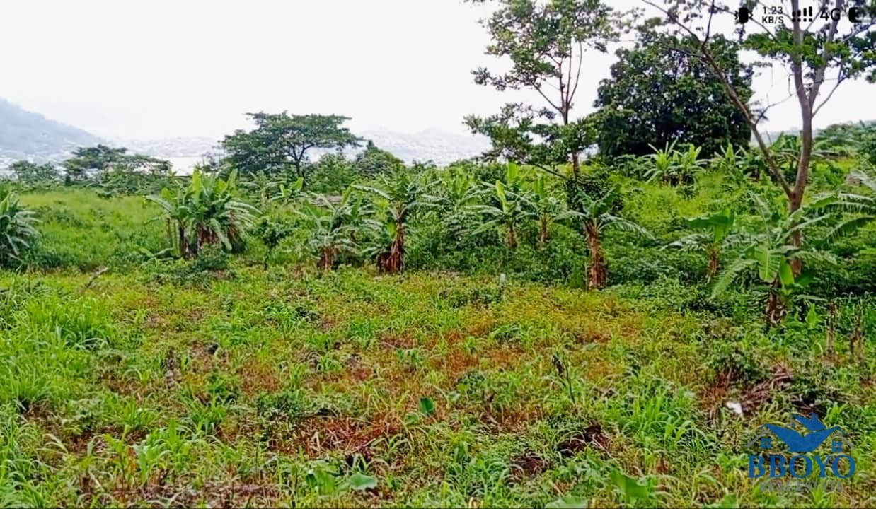 Land for Sale in Limbe, Cameroon — photo 3