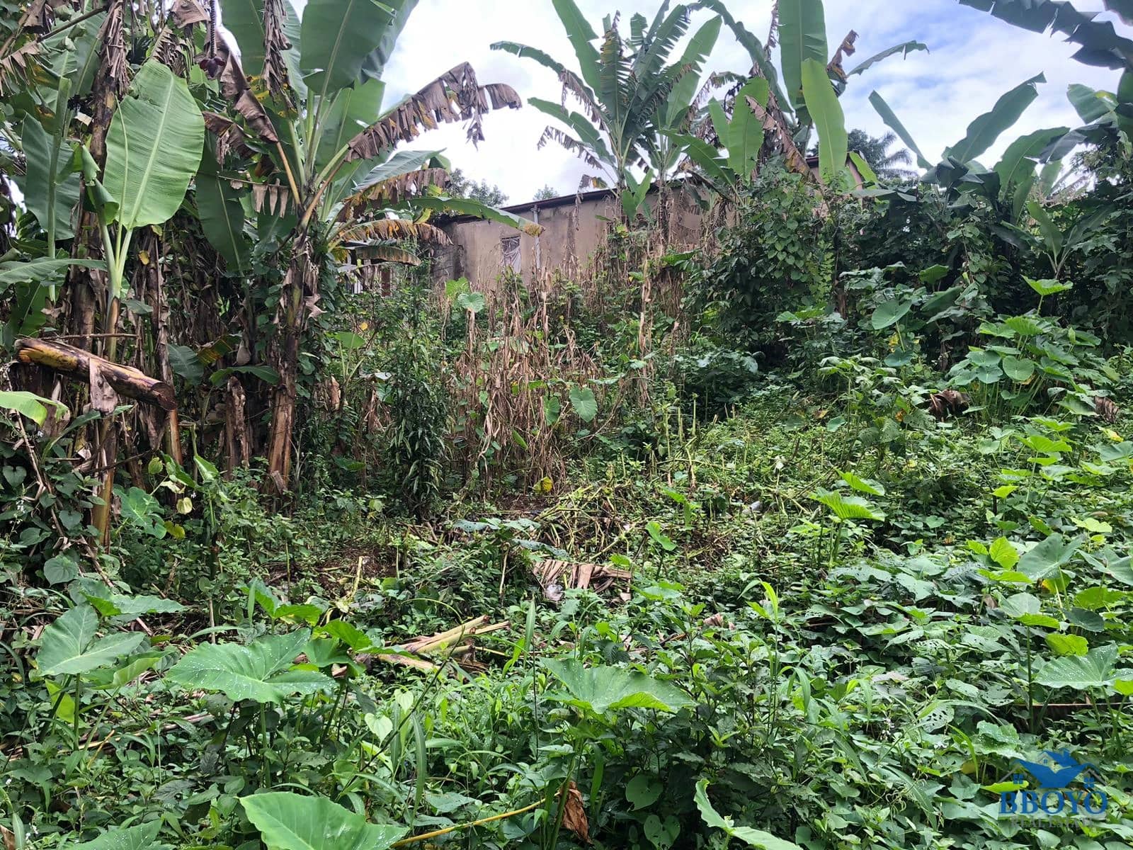 Land — photo 6
