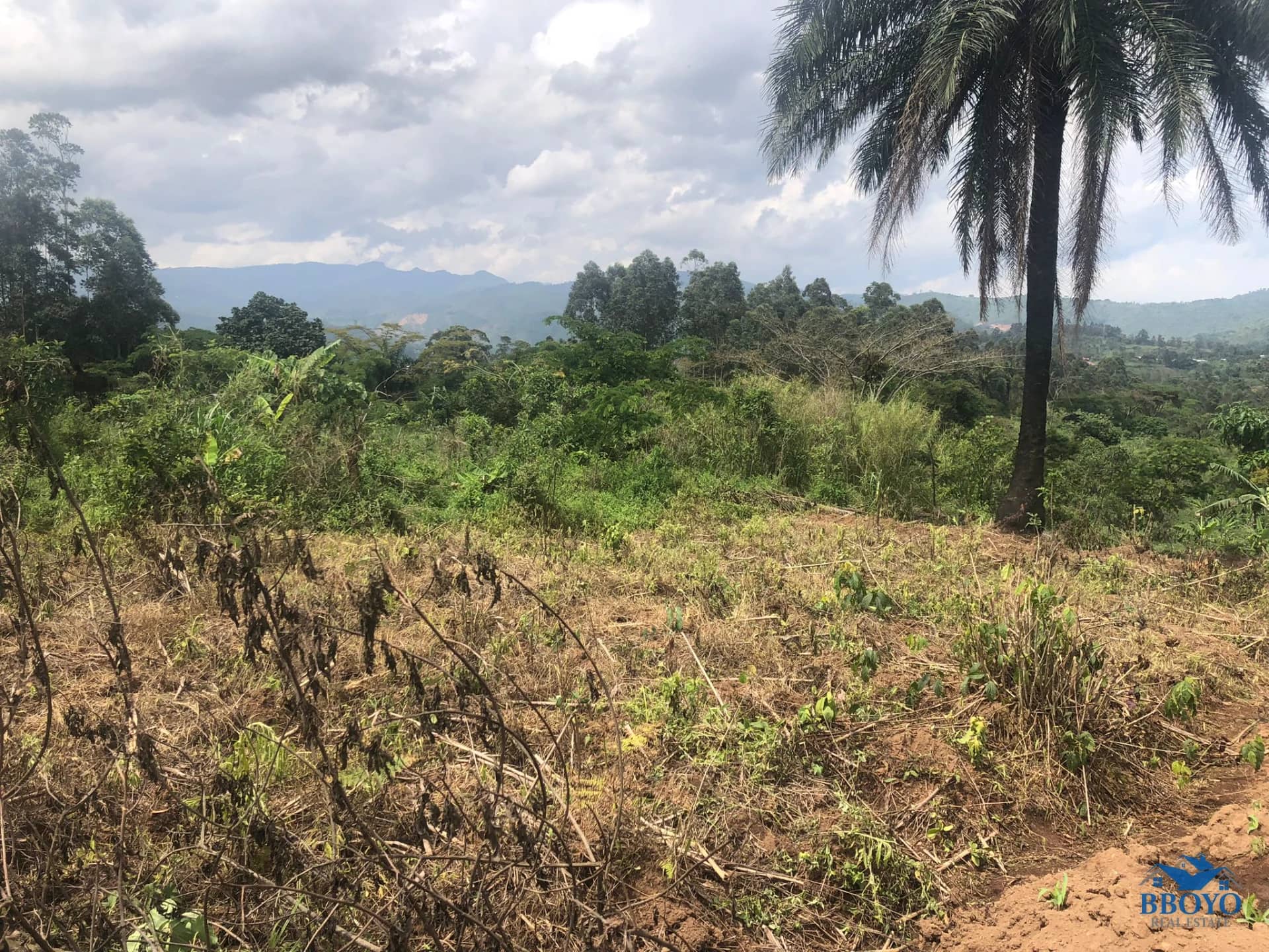 Land — photo 2
