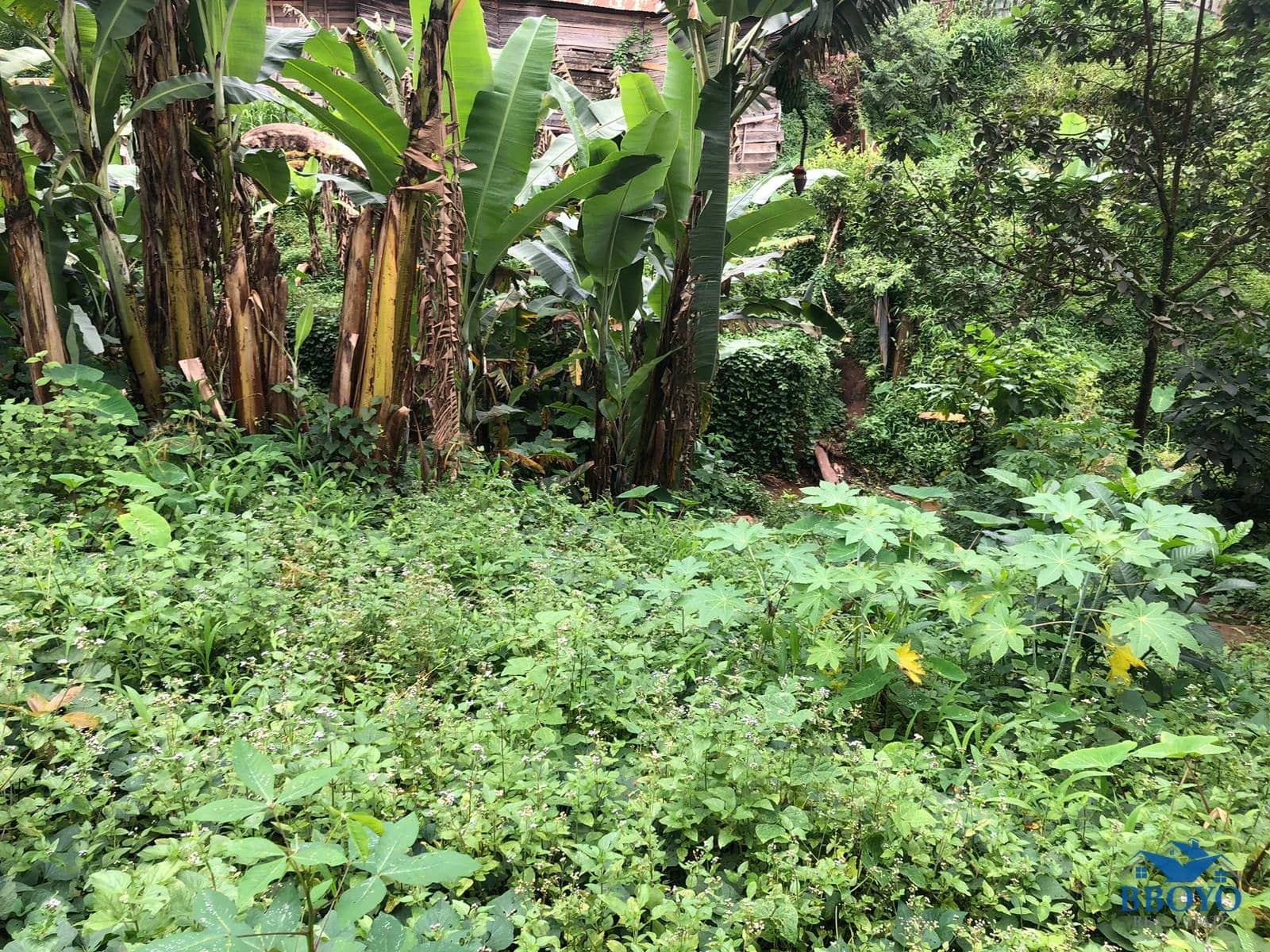 Land — photo 7