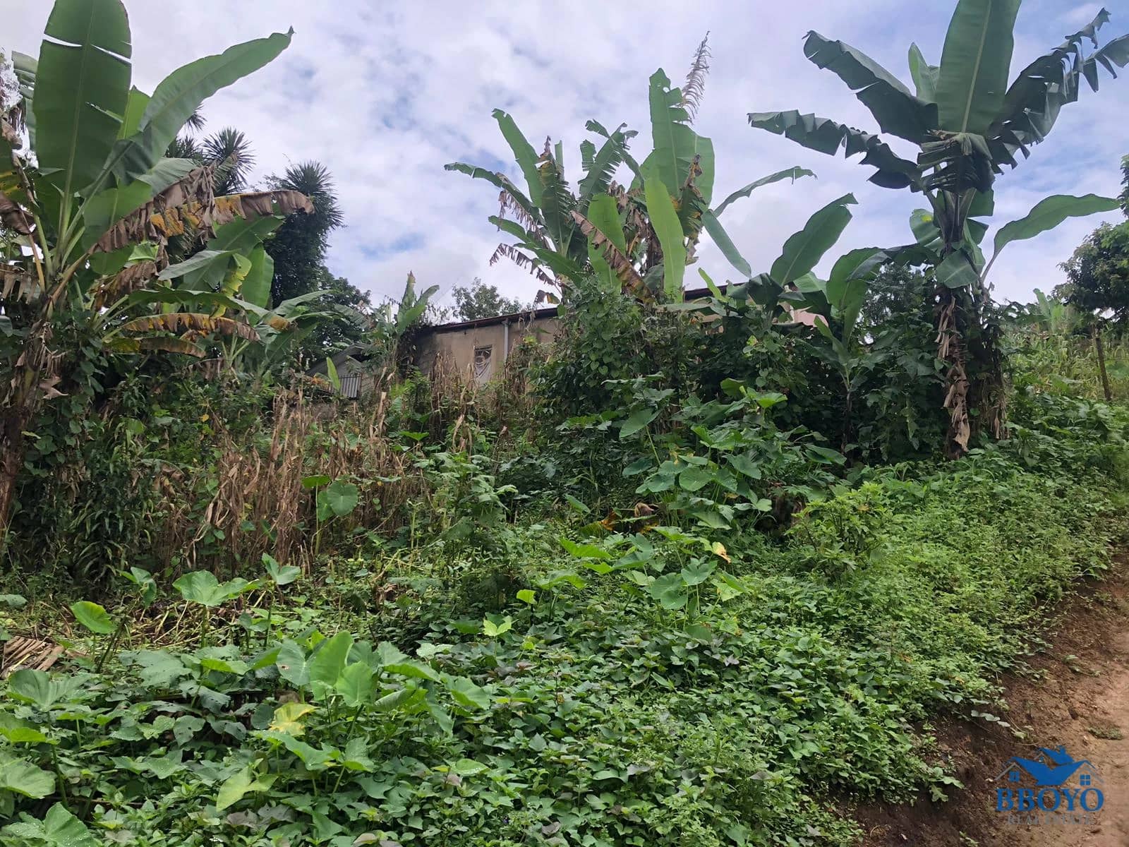 Land — photo 3