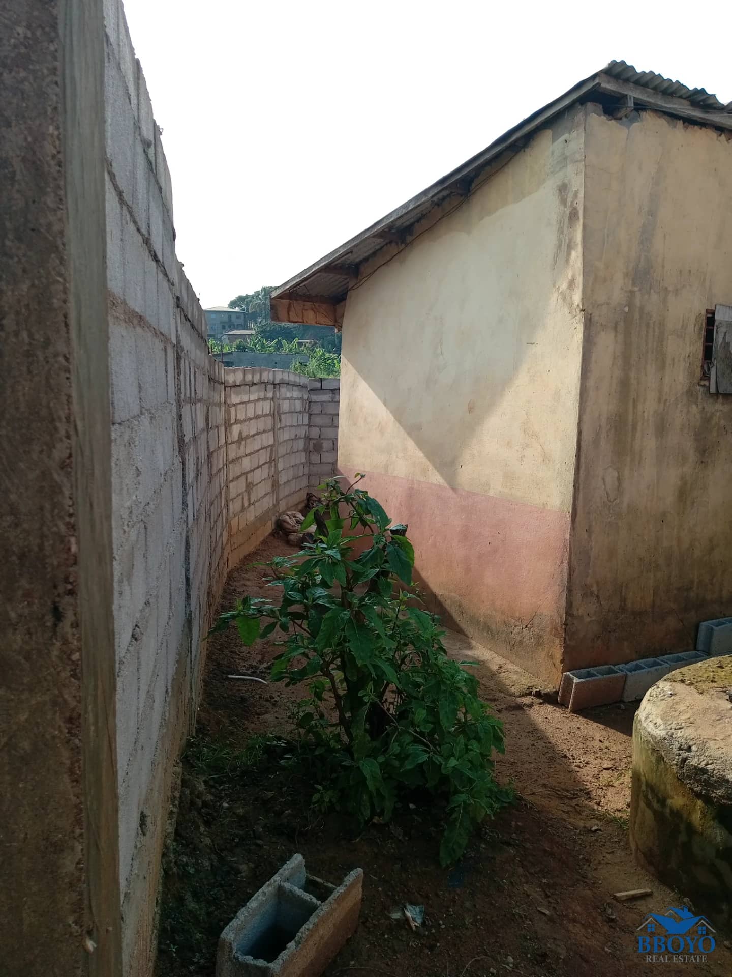 Single room at Mimboman — photo 4