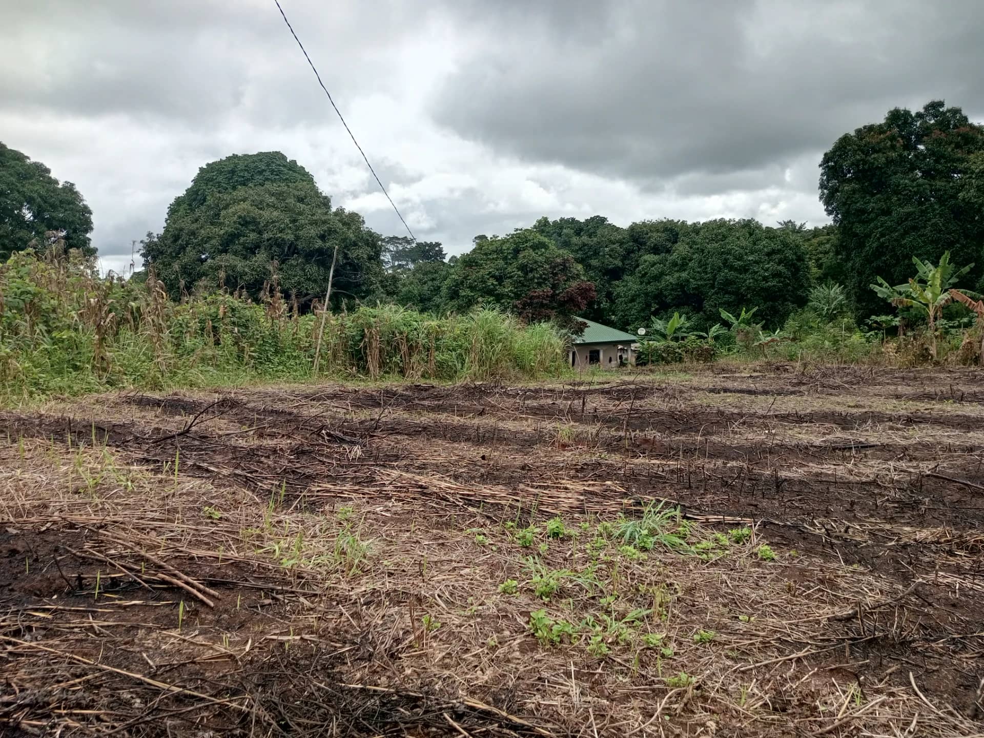 Plot of land to sell at Ezezang (3,356 meter square)