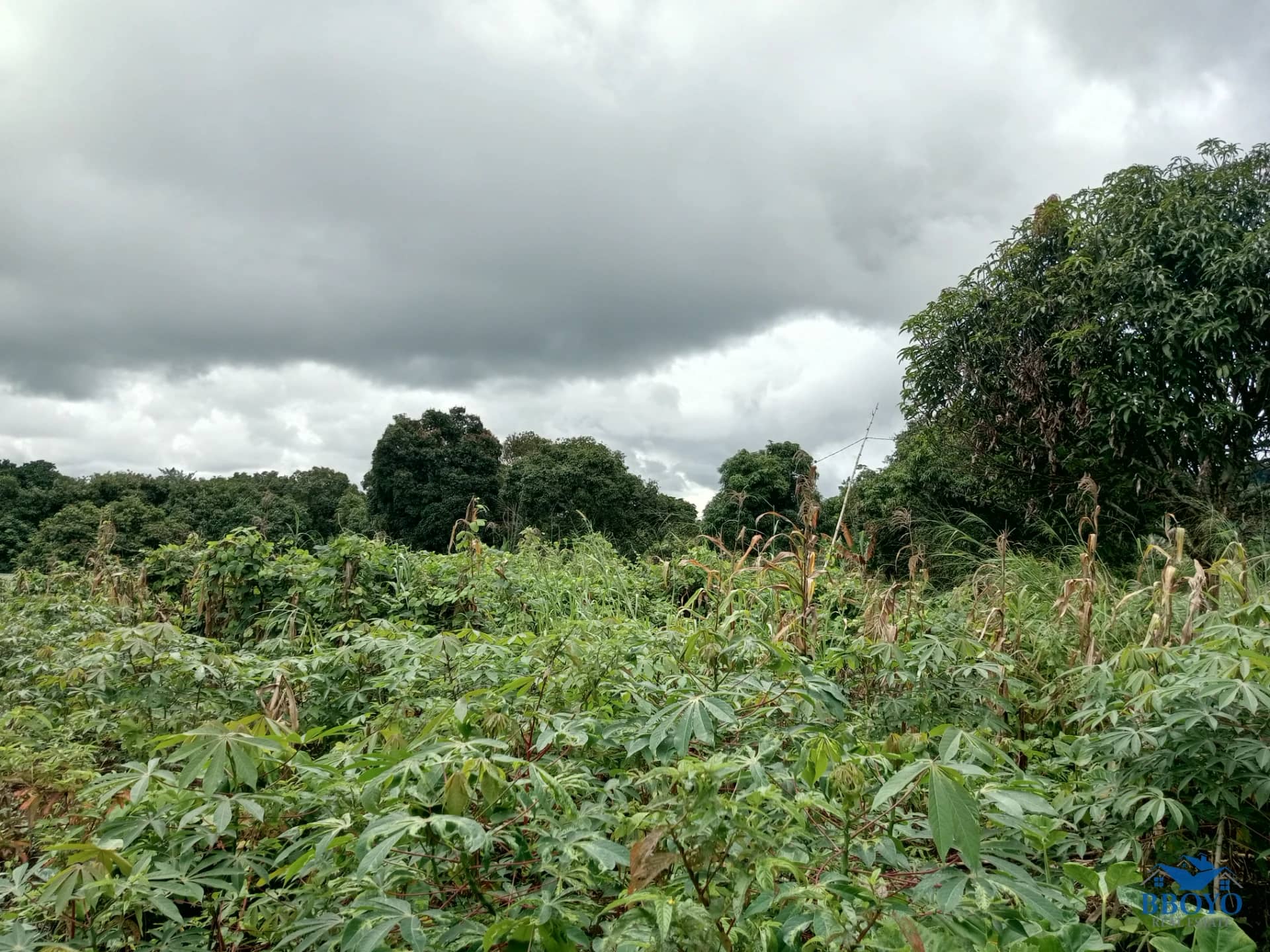 Plot of land to sell at Ezezang (3,356 meter square) — photo 5