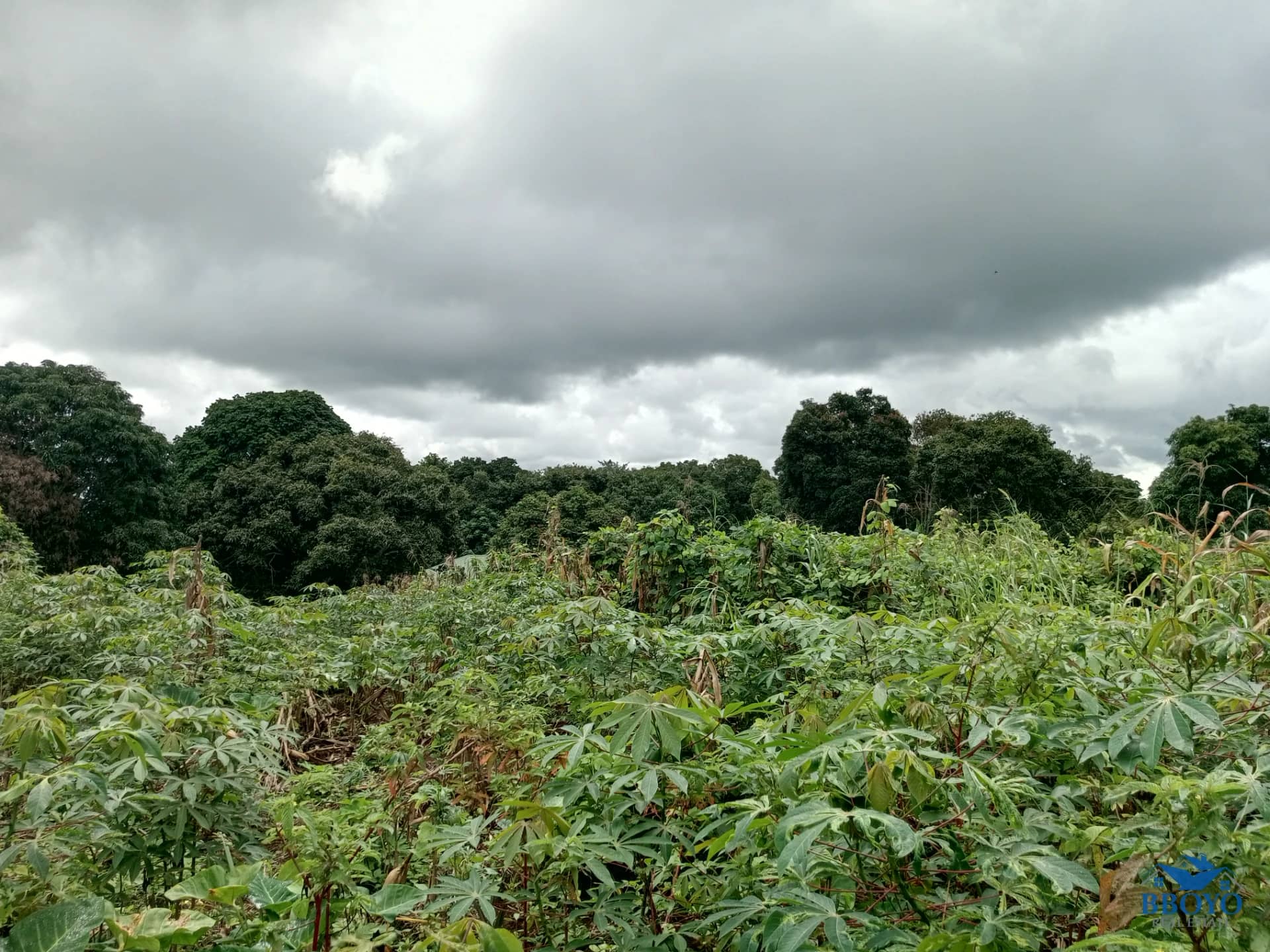 Plot of land to sell at Ezezang (3,356 meter square) — photo 6