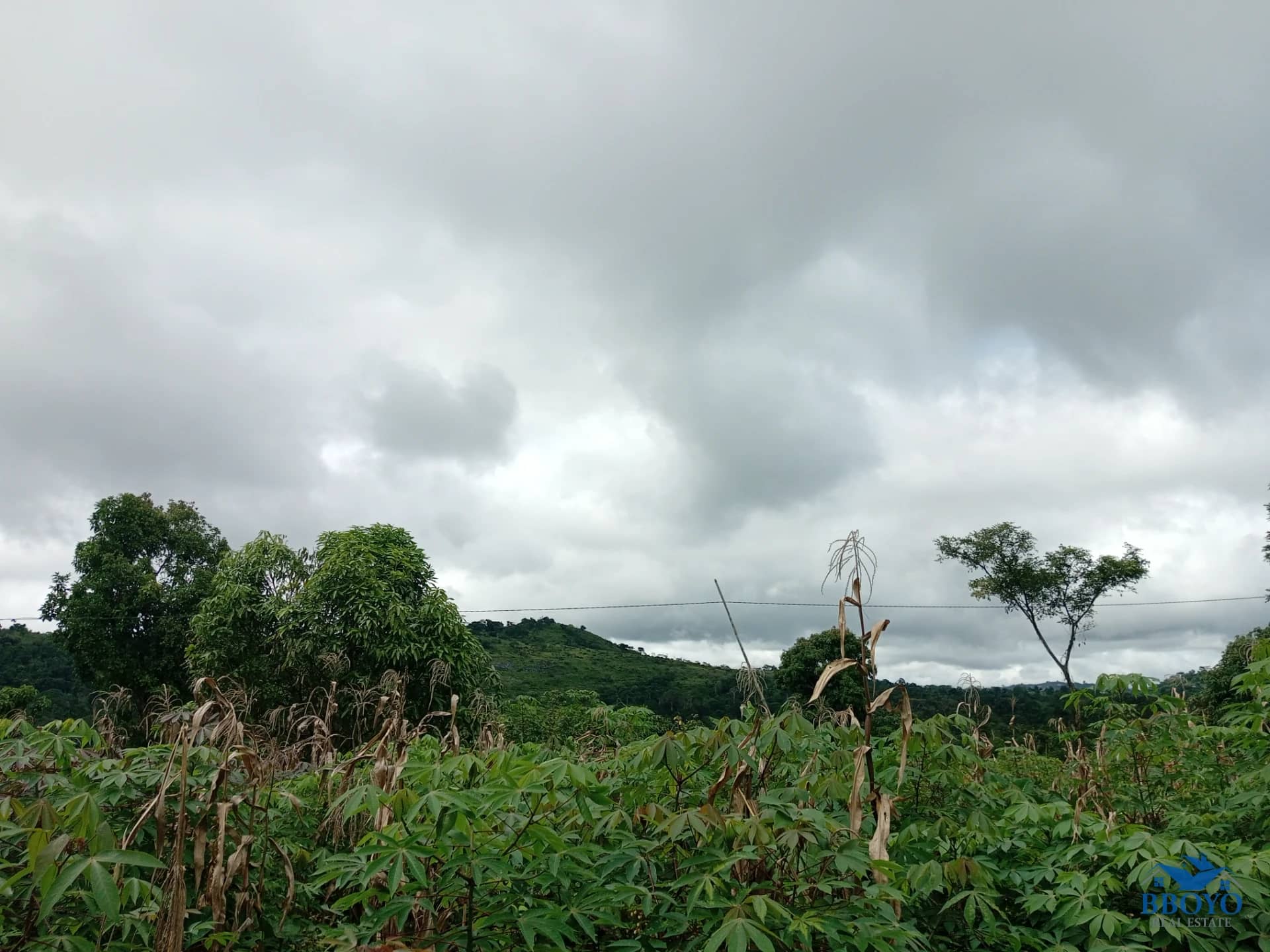 Plot of land to sell at Ezezang (3,356 meter square) — photo 7