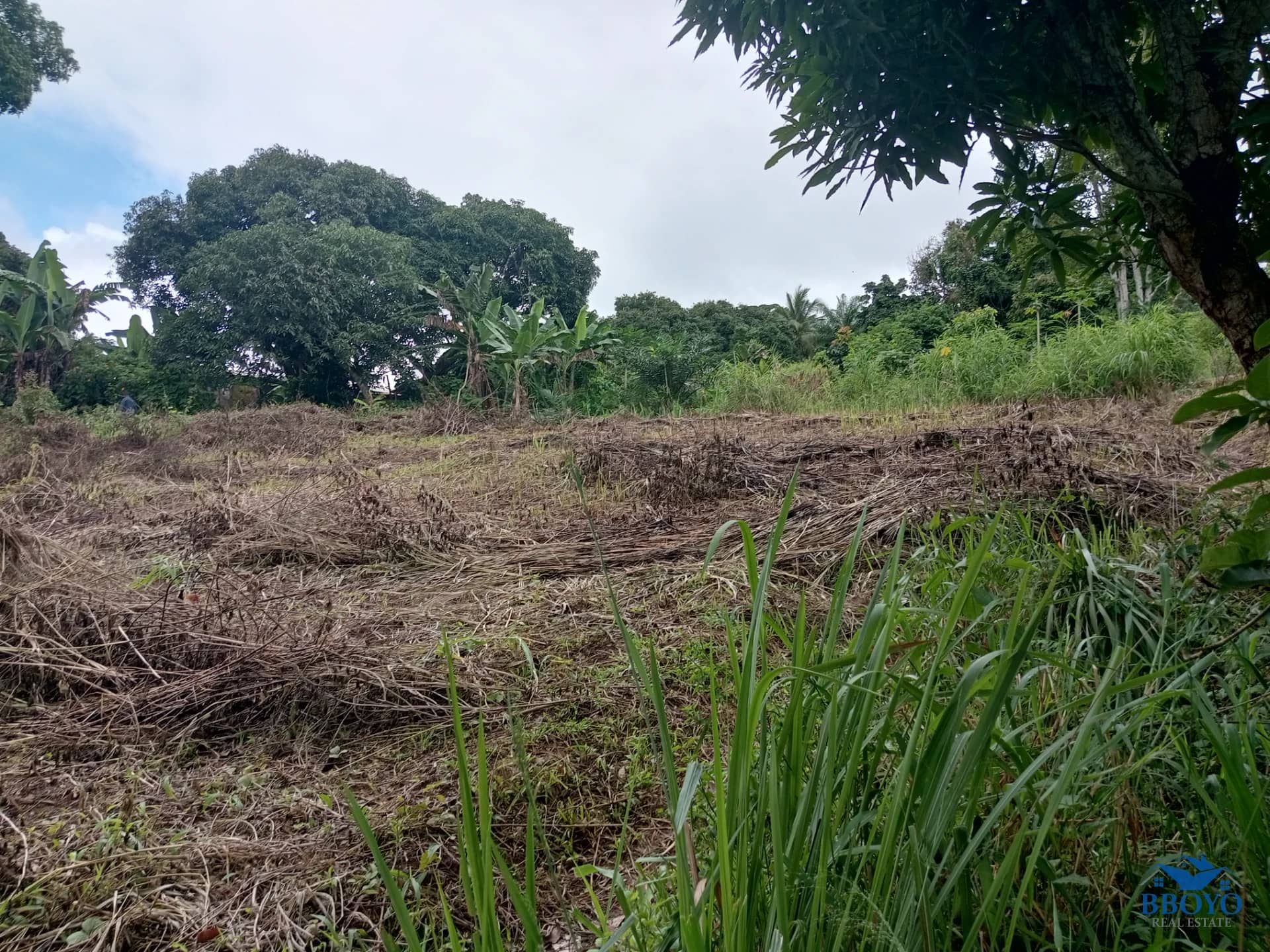 Plot land to sell at Ezezang (2685 square meters)