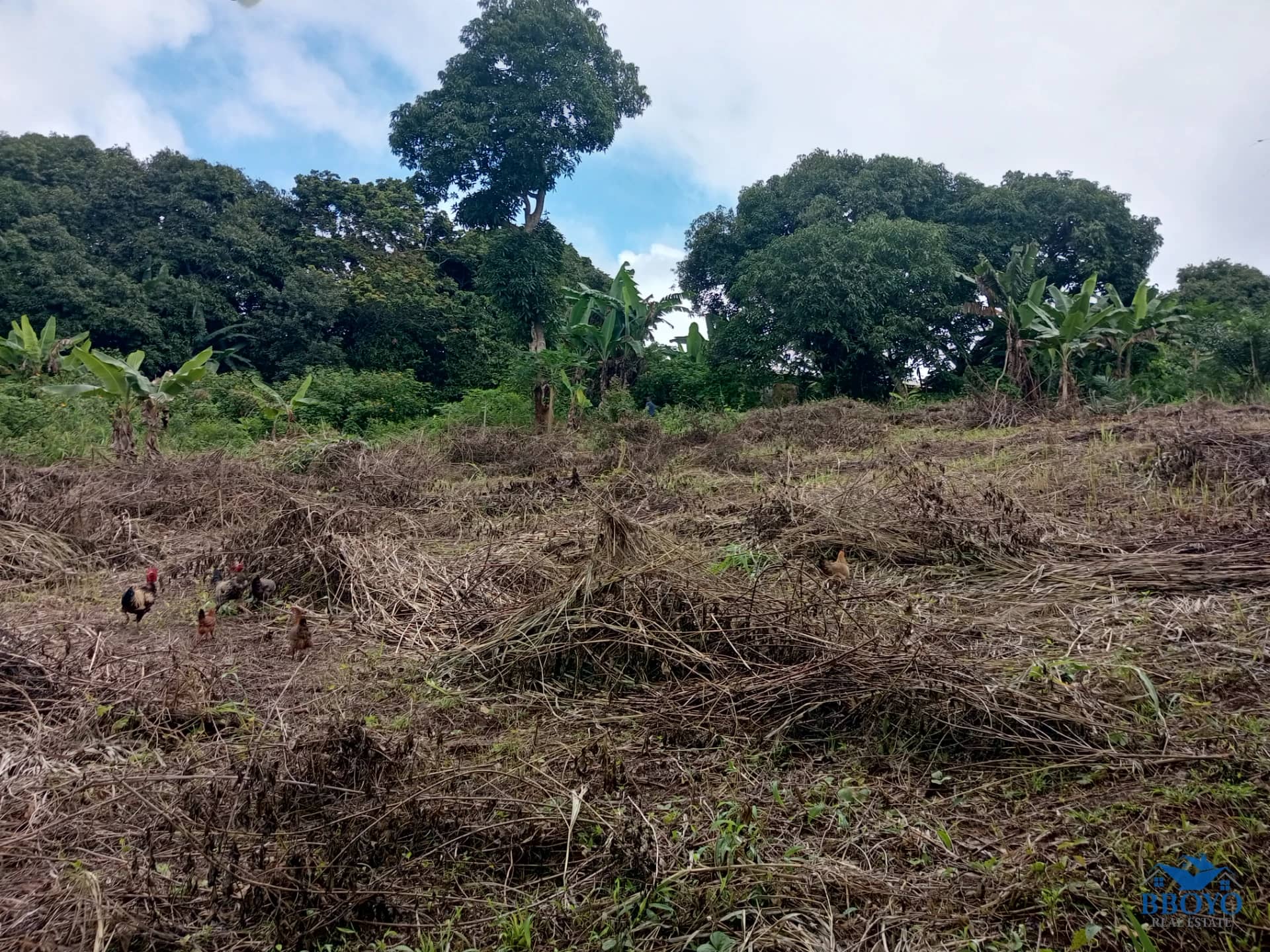 Plot land to sell at Ezezang (2685 square meters) — photo 3