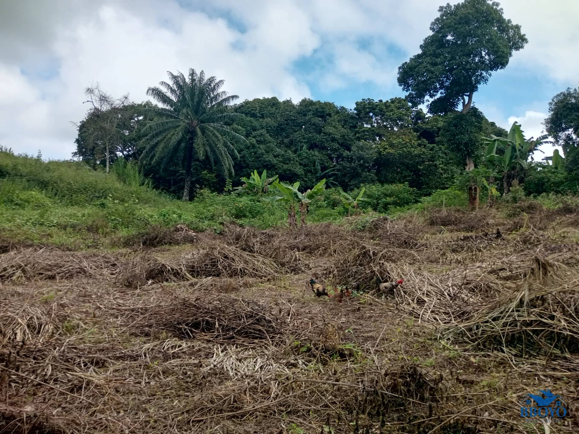 Plot land to sell at Ezezang (2685 square meters) — photo 2