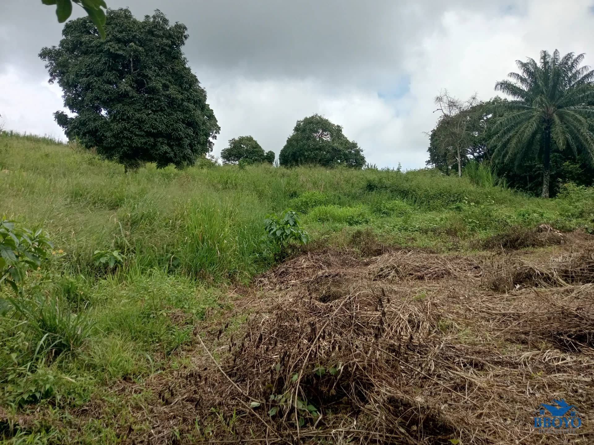 Plot land to sell at Ezezang (2685 square meters) — photo 4