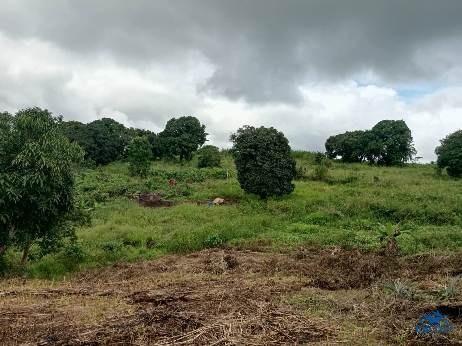 Plot land to sell at Ezezang (2685 square meters) — photo 5