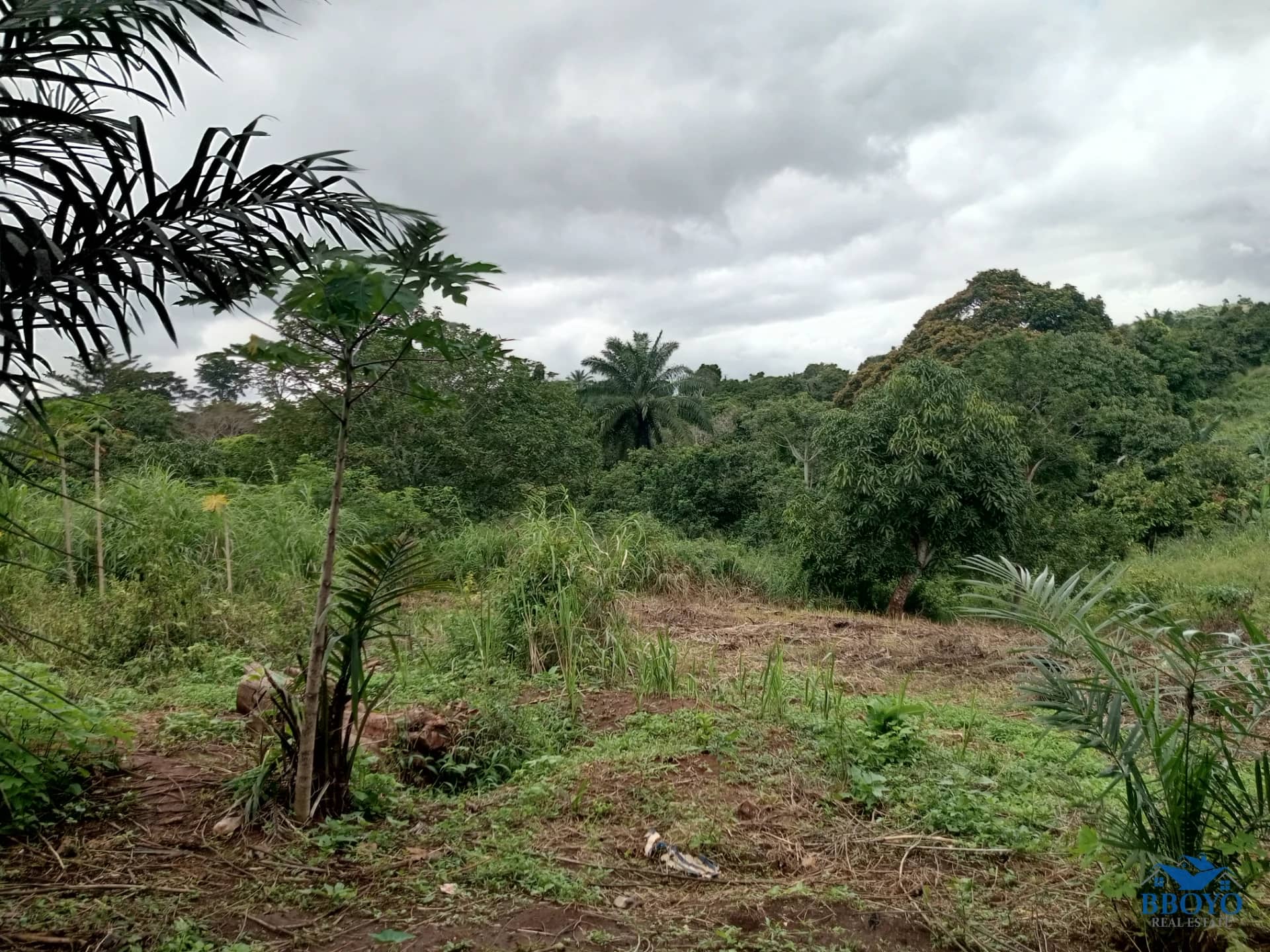 Plot land to sell at Ezezang (2685 square meters) — photo 6