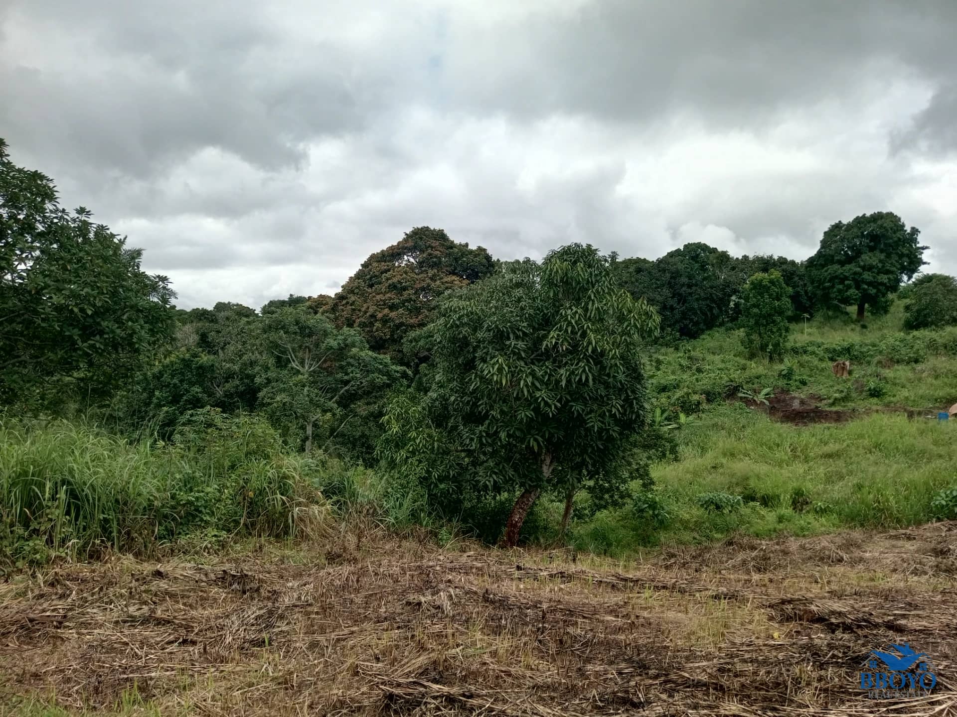 Plot land to sell at Ezezang (2685 square meters) — photo 7