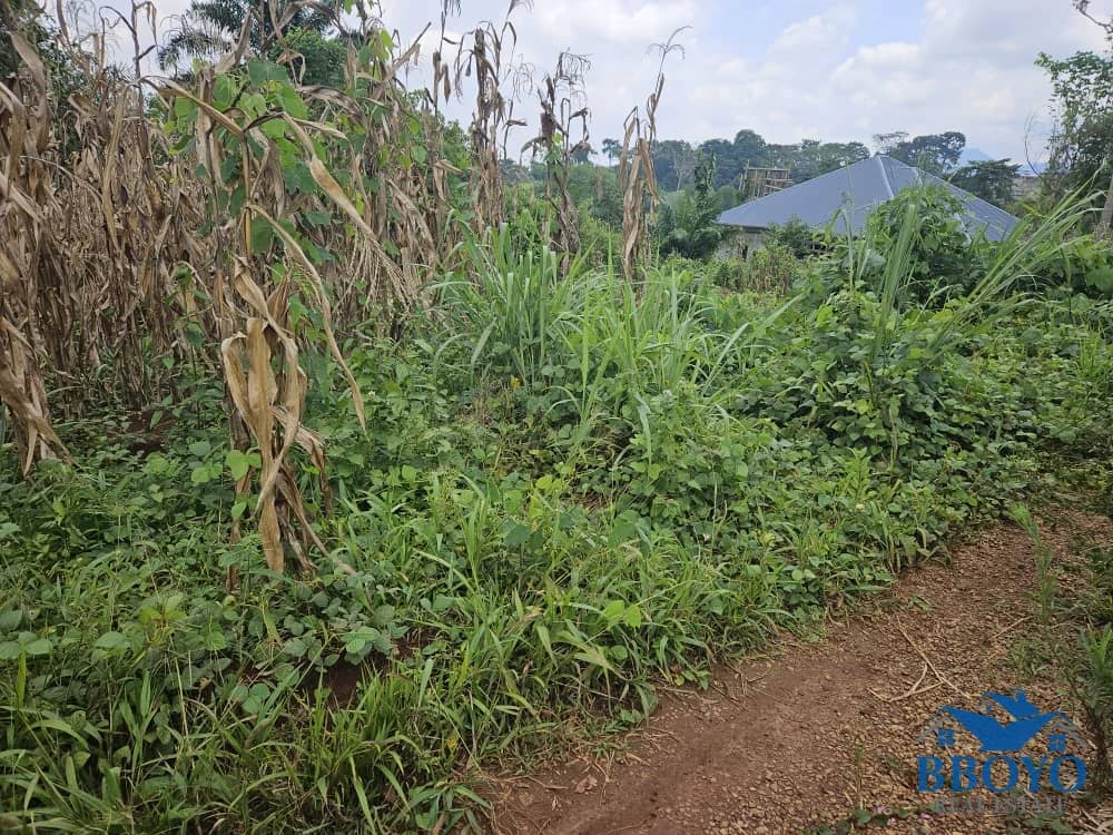 Plot area 500m2