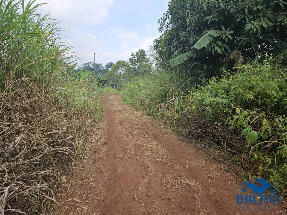 Plot area 500m2 — photo 3