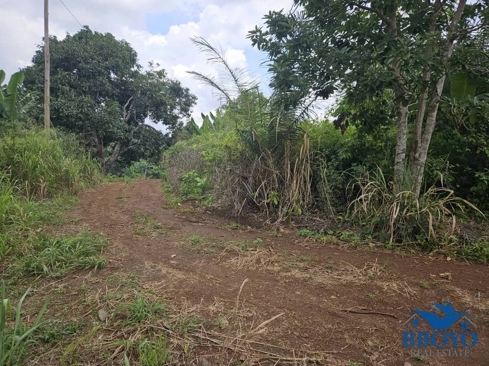 Plot area 500m2 — photo 6