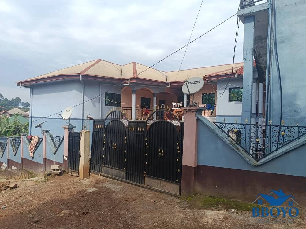 Mr Peter's House