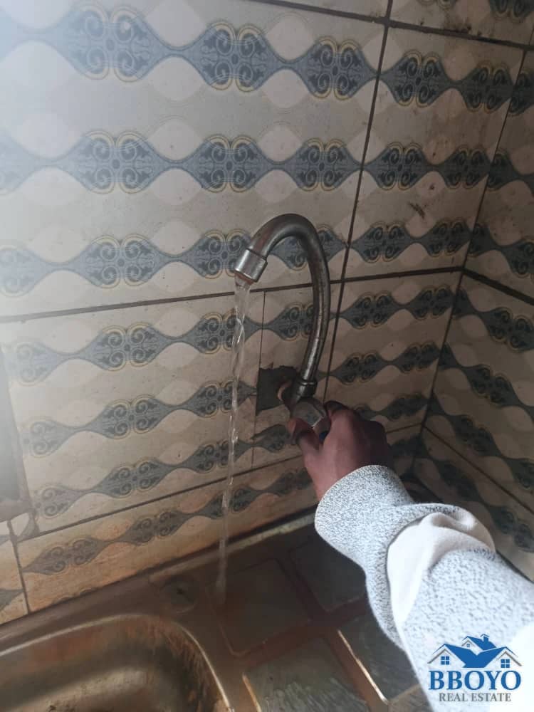 Mr Peter's House — photo 6