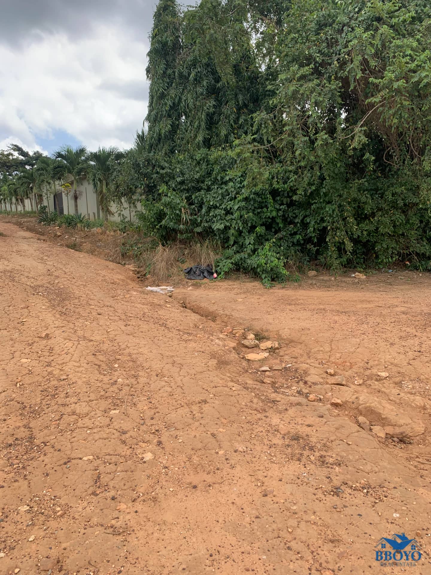 15 Plots of Prime Land for Sale in Mampong Akuapem