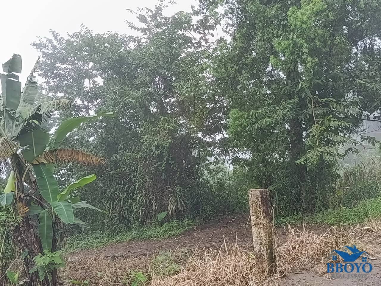 Land — photo 2