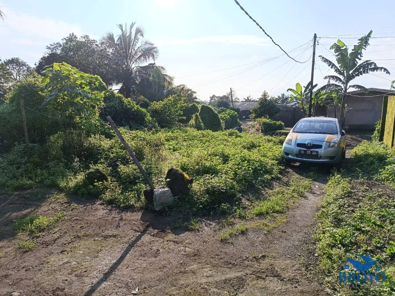 Land — photo 3
