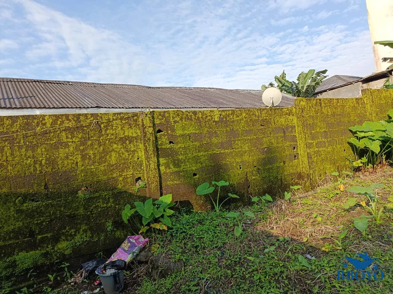 Land — photo 7