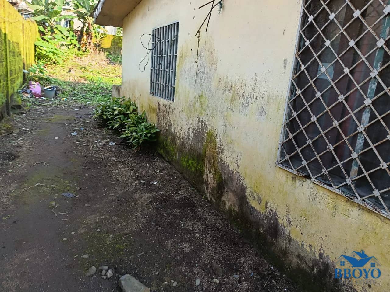Land — photo 6