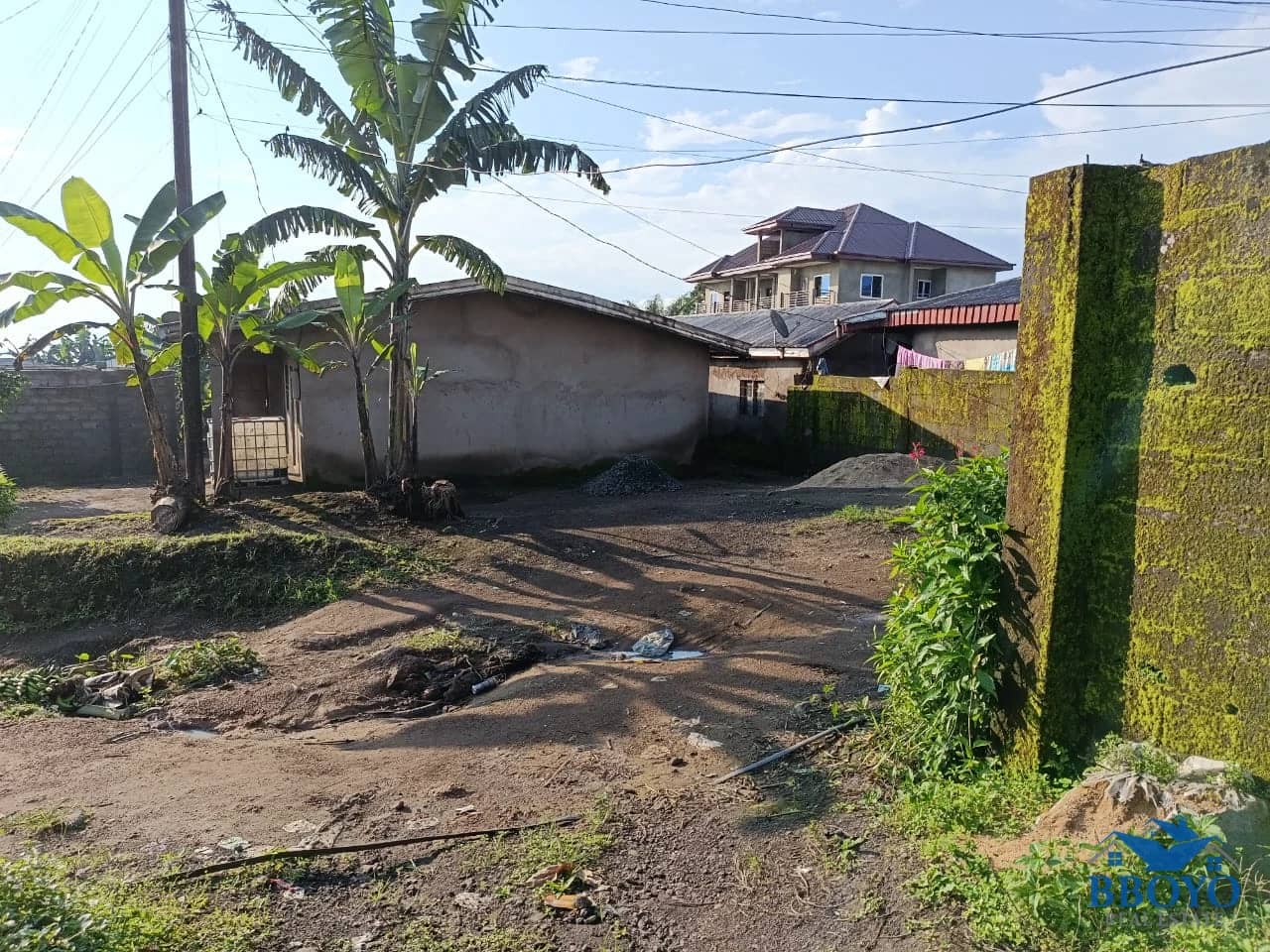 Land — photo 4
