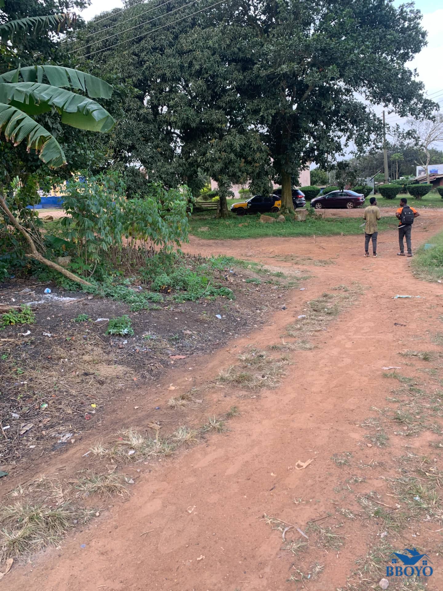 4 PLOTS OF LAND FOR SALE – MAMPONG AKUAPEM — photo 3