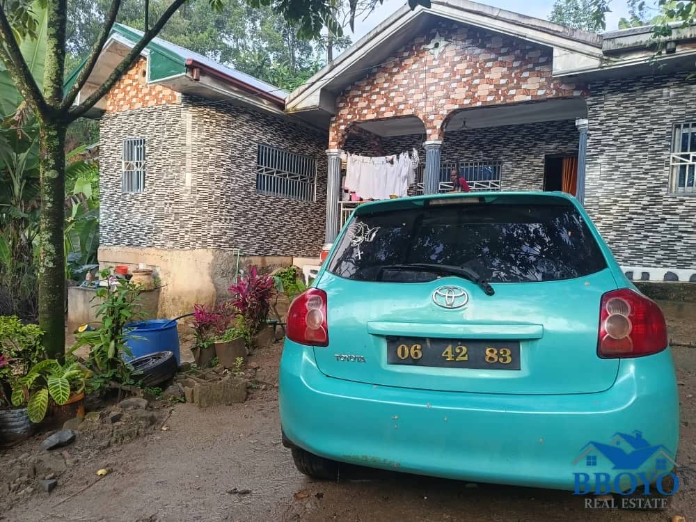 Mr Ogidi's House